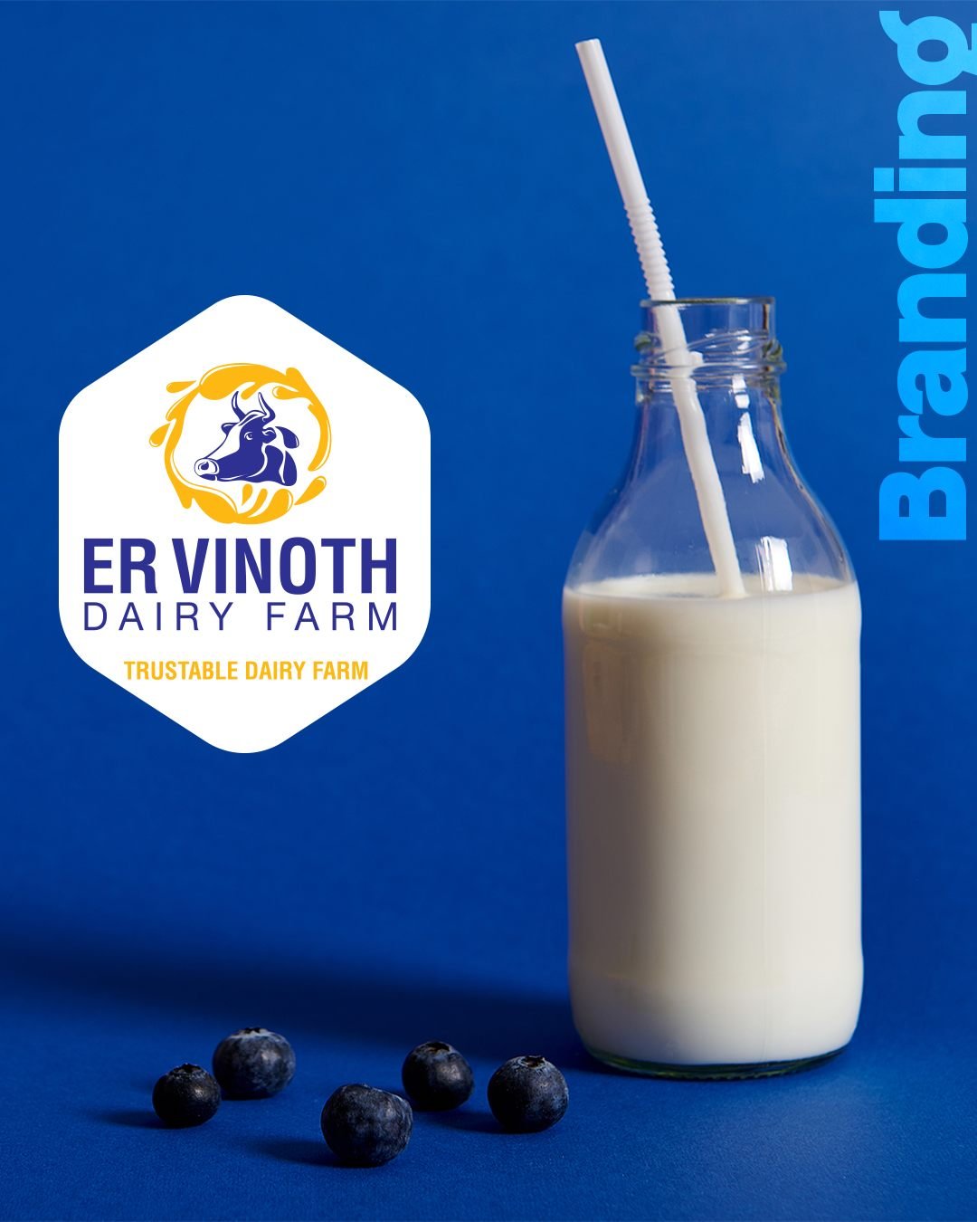 Vinoth Dairy Farm logo and branding by Plexuro Digital